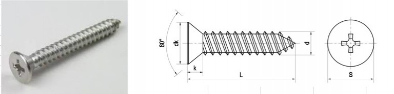Vít gỗ INOX đầu bằng